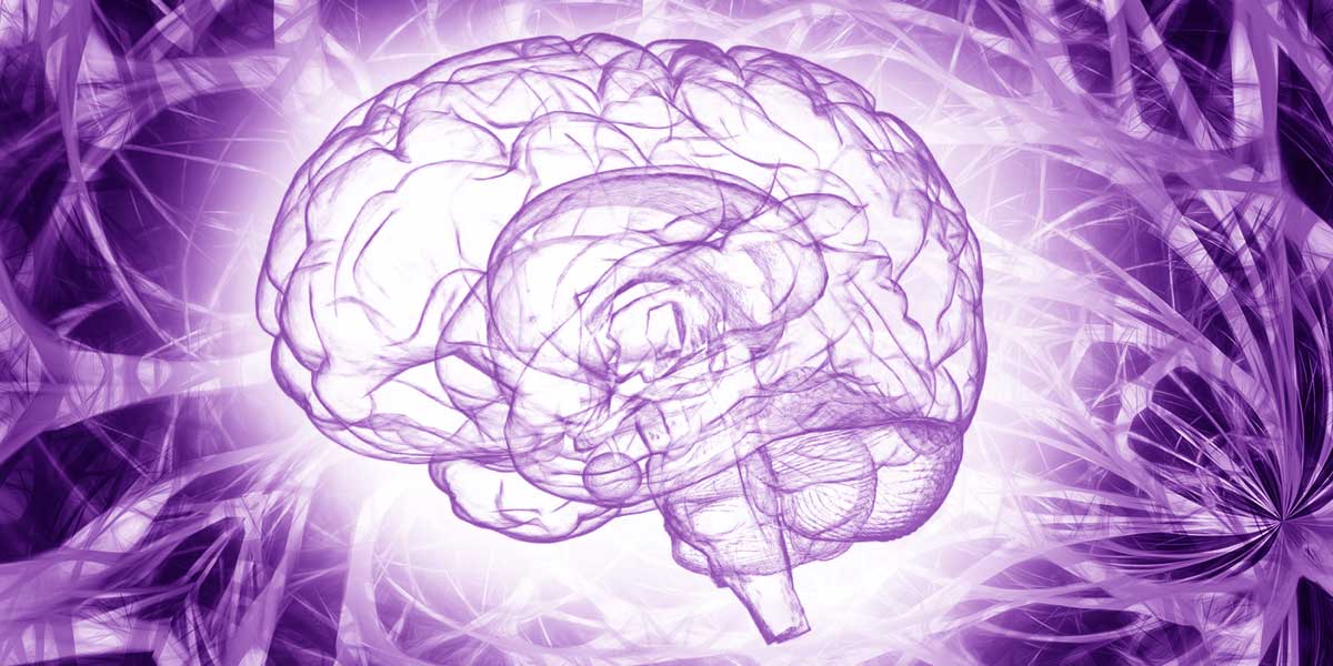 Cervello umano neuroriabilitazione emianopsia