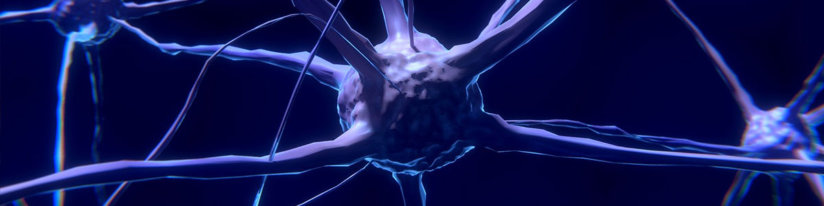 Riabilitazione neurologica
