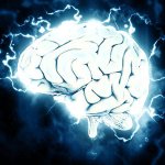 Neuroplasticità: come si riorganizza il cervello