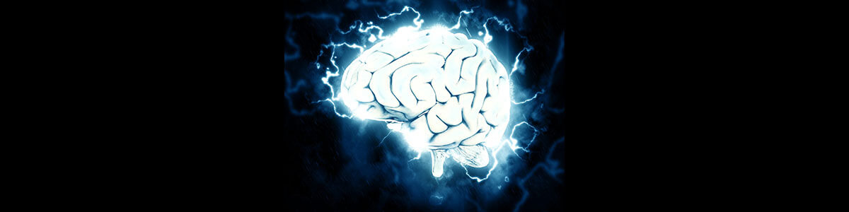 neuroplasticità